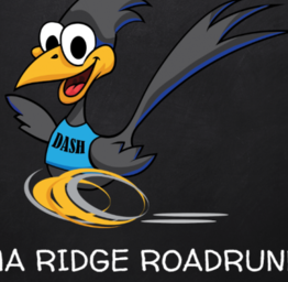 school mascot