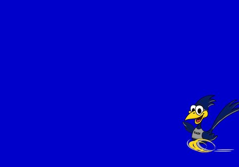 dash_background.jpg